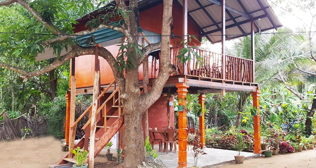 Sigiri Sky Home & Treehouse Sigiriya Exterior foto